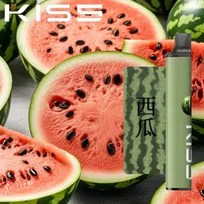 kis 拋棄式電子煙西瓜口味 kis 拋棄式電子煙西瓜口味