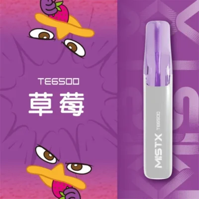 MIST X TE 鴨嘴獸 6500口 一次性電子煙｜長效續航｜拋棄式設計・免充電